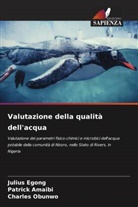 Patrick Amaibi, Julius Egong, Charles Obunwo - Valutazione della qualità dell'acqua