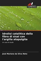 José Mariano Da Silva Neto - Idrolisi catalitica della fibra di sisal con l'argilla atapulgita