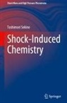 Toshimori Sekine - Shock-Induced Chemistry