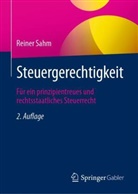 Reiner Sahm - Steuergerechtigkeit