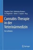 Stephen Cital, James S. Gaynor, Liz Hughston, Liz Hughston u a, Katherine Kramer - Cannabis-Therapie in der Veterinärmedizin