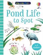 Stephanie Fizer Coleman, Kate Nolan, Stephanie Fizer Coleman - Pond Life to Spot
