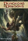 Vicente Alcazar, Andrea DiVito, Horacio Domingues, Denis Medri, John Rogers - Dungeons & Dragons Volume 2: First Encounters