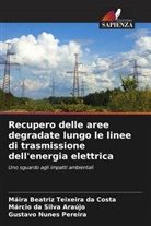 Gustavo Nunes Pereira, Márcio Da Silva Araújo, Máira Beatriz Teixeira Da Costa - Recupero delle aree degradate lungo le linee di trasmissione dell'energia elettrica