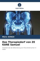 Méric Zongo - Das Therapiedorf von ZE KANE Samuel