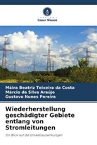 Gustavo Nunes Pereira, Már Silva Araújo, Márcio Da Silva Araújo, Máira Beatriz Teixeira Da Costa - Wiederherstellung geschädigter Gebiete entlang von Stromleitungen