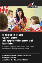 Zacarias C. de Araújo Neto, Vilani Ferreira Feitosa Amaral, Vilani Ferreira - Il gioco e il suo contributo all'apprendimento dei bambini