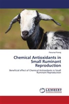 Perumal Ponraj - Chemical Antioxidants in Small Ruminant Reproduction