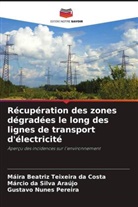 Gustavo Nunes Pereira, Márcio Da Silva Araújo, Máira Beatriz Teixeira Da Costa - Récupération des zones dégradées le long des lignes de transport d'électricité