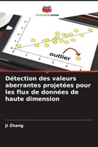 Ji Zhang - Détection des valeurs aberrantes projetées pour les flux de données de haute dimension