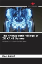 Méric ZONGO - The therapeutic village of ZE KANE Samuel