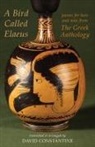 David Constantine, David J. Constantine - Bird Called Elaeus