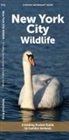 Waterford Press - New York City Wildlife