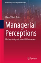 Marco Valeri - Managerial Perceptions