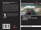 Cláudio Robert Pierini - Essays on the "adjacencies" of urban mobility