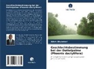 Adam Abubakari - Geschlechtsbestimmung bei der Dattelpalme (Phoenix dactylifera)