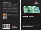 Wanignon Hounkpatin - Le chiavi dell'OP²C