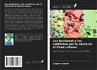 Logam Lawane - Los boulamat y los conflictos por la tierra en el Chad urbano