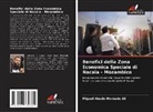 Miguel Abudo Momade Ali - Benefici della Zona Economica Speciale di Nacala - Mozambico