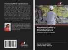 Cristina Mair Rauter, Kenia Soares Maia - Pixation/Gaffiti e Disobbedienza