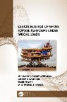 Srinivasan Chandrasekaran, Chandrasekaran Srinivasan, Arvind Kumar Jain, Jain Arvind Kumar, Nasir Shafiq, M. Mubarak A. Wahab - Design Aids for Offshore Topside Platforms Under Special Loads
