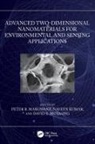 Peter R. (Council for Scientific and Ind Makgwane, David E. Motaung, Naveen Kumar, Peter R. Makgwane, David E. Motaung, Peter R. Makgwane - Advanced Two Dimensional Nanomaterials for Environmental and Sensing