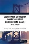 Tien-Chien Jen, Jianwei Ren, Omotayo Sanni, Omotayo (University of Johannesburg Sanni, Kingsley Ukoba - Sustainable Corrosion Inhibition Using Agricultural Waste