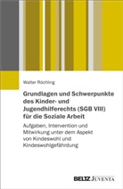 Walter Röchling - Grundlagen und Schwerpunkte des Kinder- und Jugendhilferechts (SGB VIII) für die Soziale Arbeit