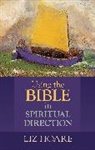 Liz Hoare, Hoare Liz - Using the Bible in Spiritual Direction