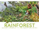 DK - Rainforest