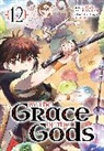 Ranran, Ririnra, Roy - By the Grace of the Gods 12 (Manga)
