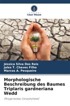 A Pe, Marcos A. Pesqueiro, Jales T Chaves Filho, Jales T. Chaves Filho, Jéssica Silva Dos Reis - Morphologische Beschreibung des Baumes Triplaris gardneriana Wedd
