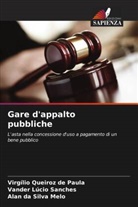 Alan Da Silva Melo, Virgílio Queiroz de Paula, Vander Lúcio Sanches - Gare d'appalto pubbliche