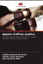 Alan Da Silva Melo, Virgílio Queiroz de Paula, Vander Lúcio Sanches - Appels d'offres publics