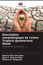 Marcos A. Pesqueiro, Jales T. Chaves Filho, Jéssica Silva Dos Reis - Description morphologique de l'arbre Triplaris gardneriana Wedd