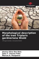 Marcos A. Pesqueiro, Jales T. Chaves Filho, Jéssica Silva Dos Reis - Morphological description of the tree Triplaris gardneriana Wedd