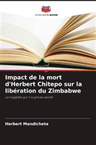 Herbert Mandicheta - Impact de la mort d'Herbert Chitepo sur la libération du Zimbabwe