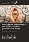 Marcos A. Pesqueiro, Jales T. Chaves Filho, Jéssica Silva Dos Reis - Descripción morfológica del árbol Triplaris gardneriana Wedd