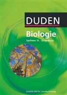 Alexander Kohly, Andrea Mohrenweiser, Andreas Börstler, Axel Goldberg, Andreas Börstler, Jörg Dietze... - Duden Biologie - Gymnasiale Oberstufe - Sachsen - 11. Schuljahr - Grundkurs