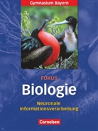 Frank Scholz, Frank Scholz, Ulrich Weber - Fokus Biologie - Oberstufe - Gymnasium Bayern - 12. Jahrgangsstufe