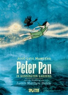 J. M. Barrie, James Matthew Barrie, José Luis Munuera, José Luis Munuera - Peter Pan in Kensington Gardens (Graphic Novel)