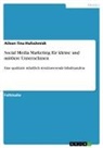 Aileen Tina Hufschmidt - Social Media Marketing für kleine und mittlere Unternehmen