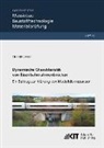Till Heiland - Dynamische Charakteristik von Eisenbahnrahmenbrücken: Ein Beitrag zur Klärung von Modelldiskrepanzen