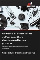 Opololaoluwa Oladimarun Ogunlowo - L'efficacia di adsorbimento dell'oxytenanthera abyssinica nell'acqua prodotta