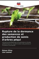 Léo Leonel, Edvan Silva - Rupture de la dormance des semences et production de semis d'arbres péqui