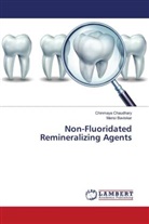 Mansi Baviskar, Chinmaya Chaudhary - Non-Fluoridated Remineralizing Agents