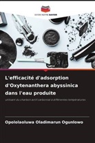 Opololaoluwa Oladimarun Ogunlowo - L'efficacité d'adsorption d'Oxytenanthera abyssinica dans l'eau produite