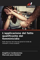 Marcelo José Boldori, Angélica CardosoLima - L'applicazione del fatto qualificante del femminicidio