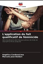 Marcelo José Boldori, Angélica CardosoLima - L'application du fait qualificatif de féminicide