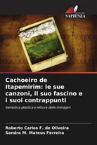 Roberto Carlos F. de Oliveira, Sandra M. Mateus Ferreira - Cachoeiro de Itapemirim: le sue canzoni, il suo fascino e i suoi contrappunti